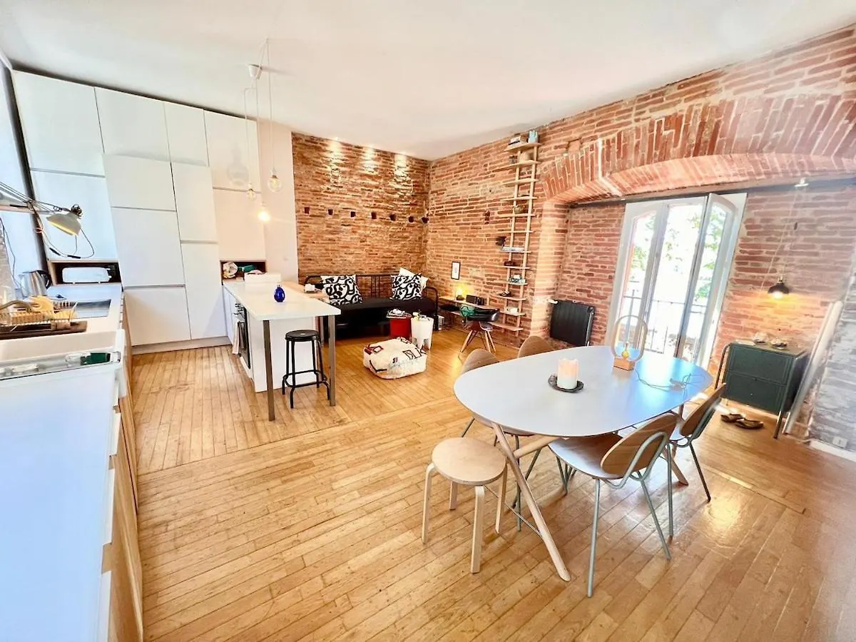 Apartament Mon Bout De Garonne - Appartement 2 Ch - Garonne Tuluza