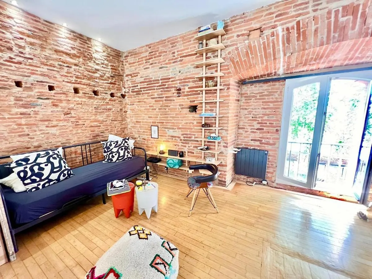 Apartament Mon Bout De Garonne - Appartement 2 Ch - Garonne Tuluza
